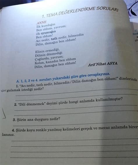 5sınıf türkçe sayfa 100